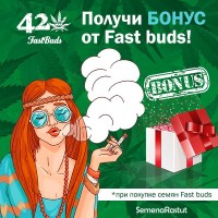БОНУС Fast Buds